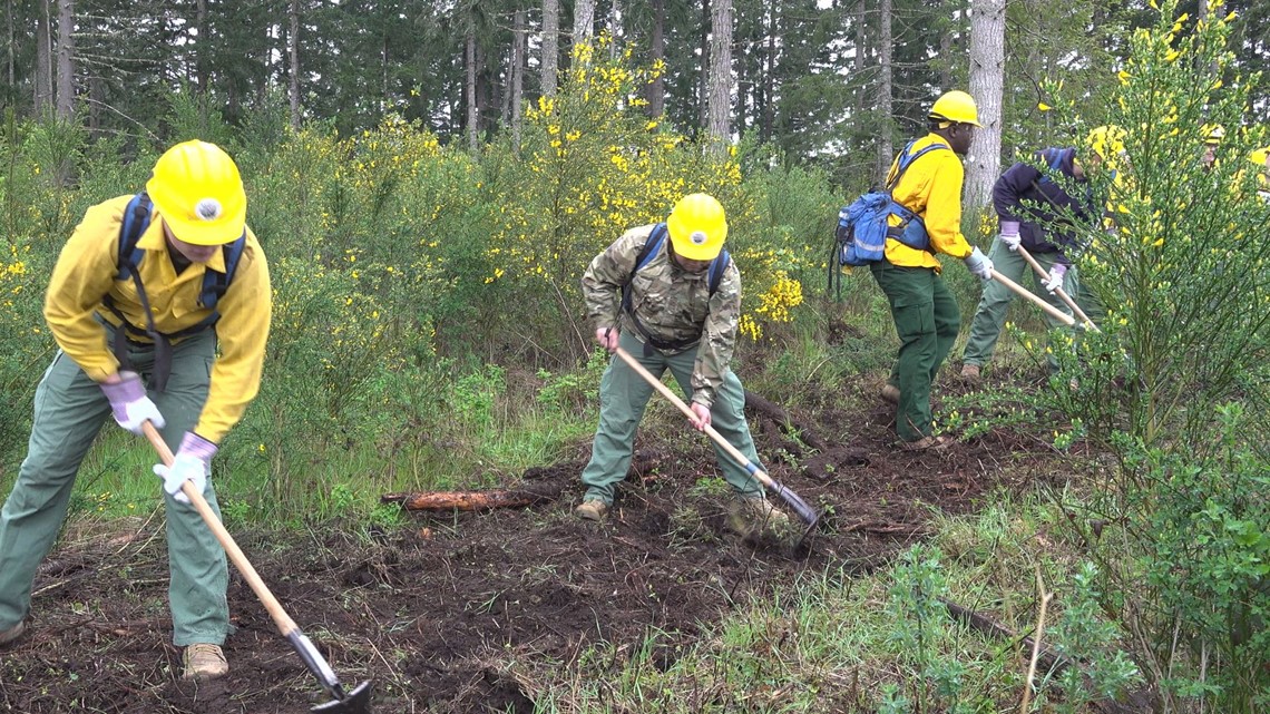 Washington officials hard at work for wildfire season preparations - Vimarsana News