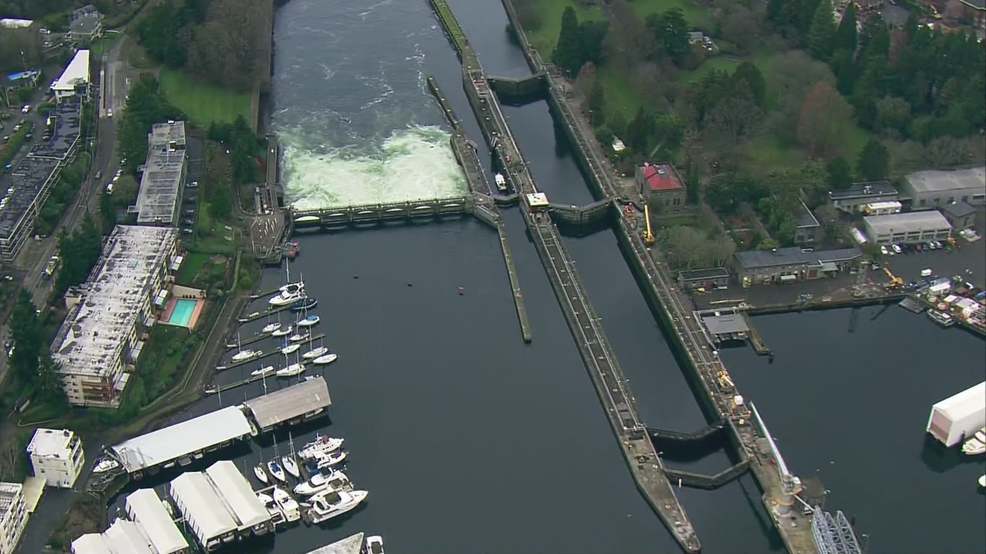 The large chamber at the Hiram M. Chittenden Locks in Ballard will be closed through April for renovations.