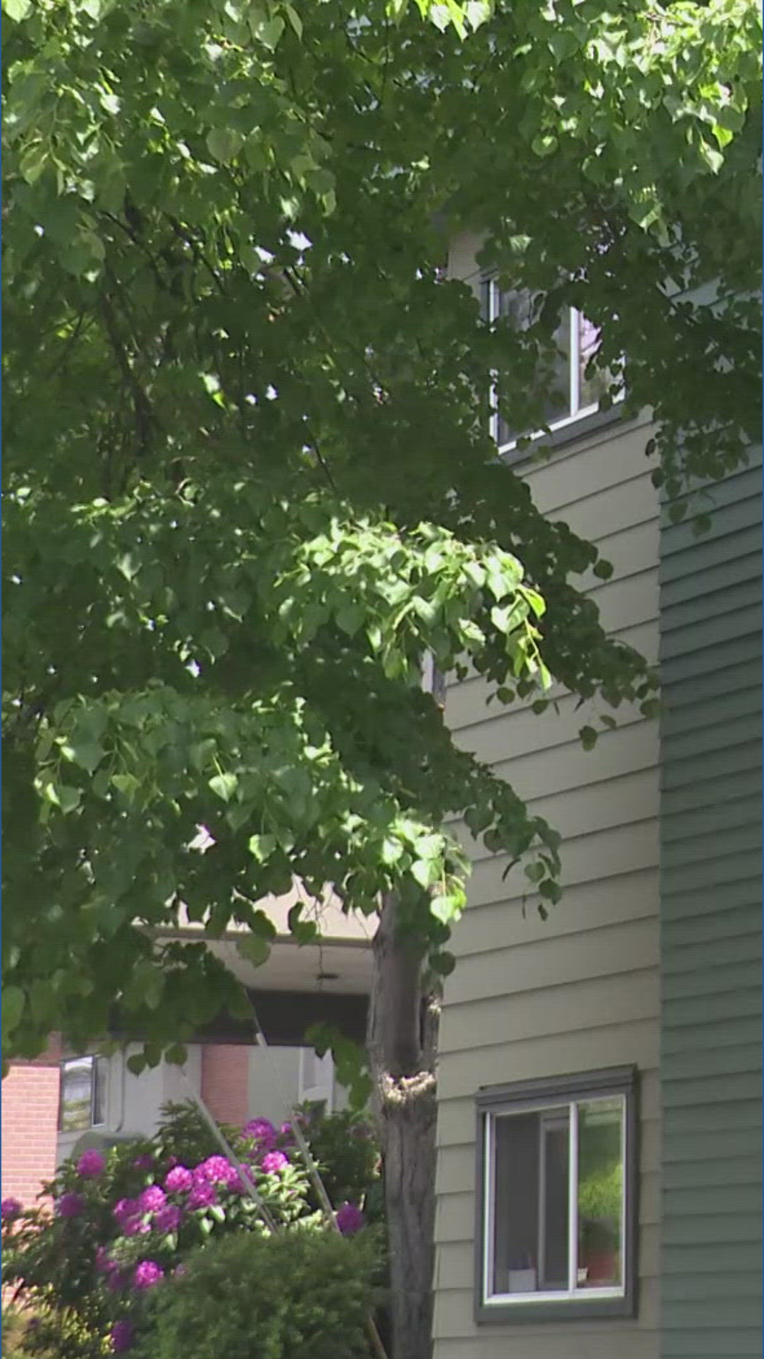 Killer remains at large after fatal stabbing of UW student at off-campus housing