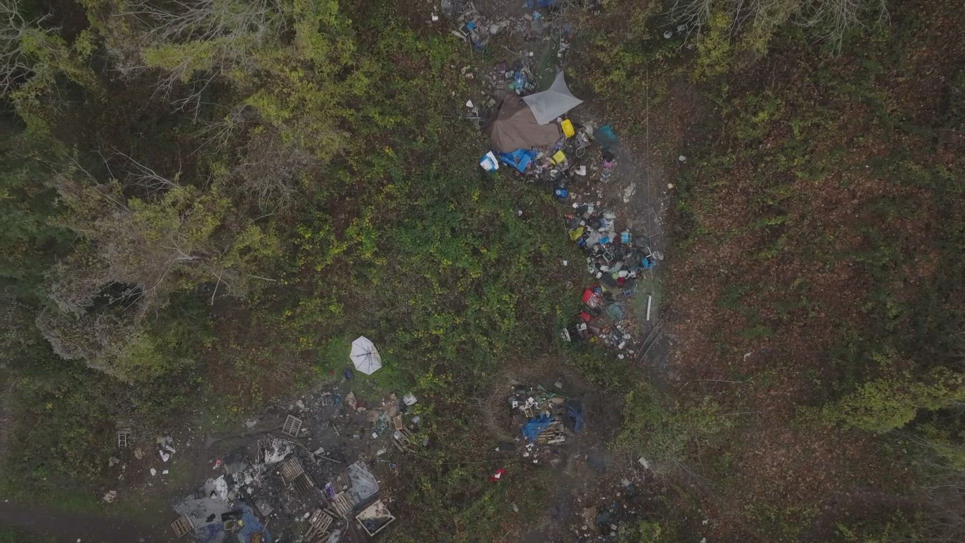 Neighbors are voicing their concerns of multiple encampments in the SW Queen Anne Greenbelt.