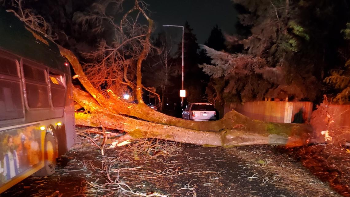 Bus driver recounts tree falling on King County Metro bus | king5.com