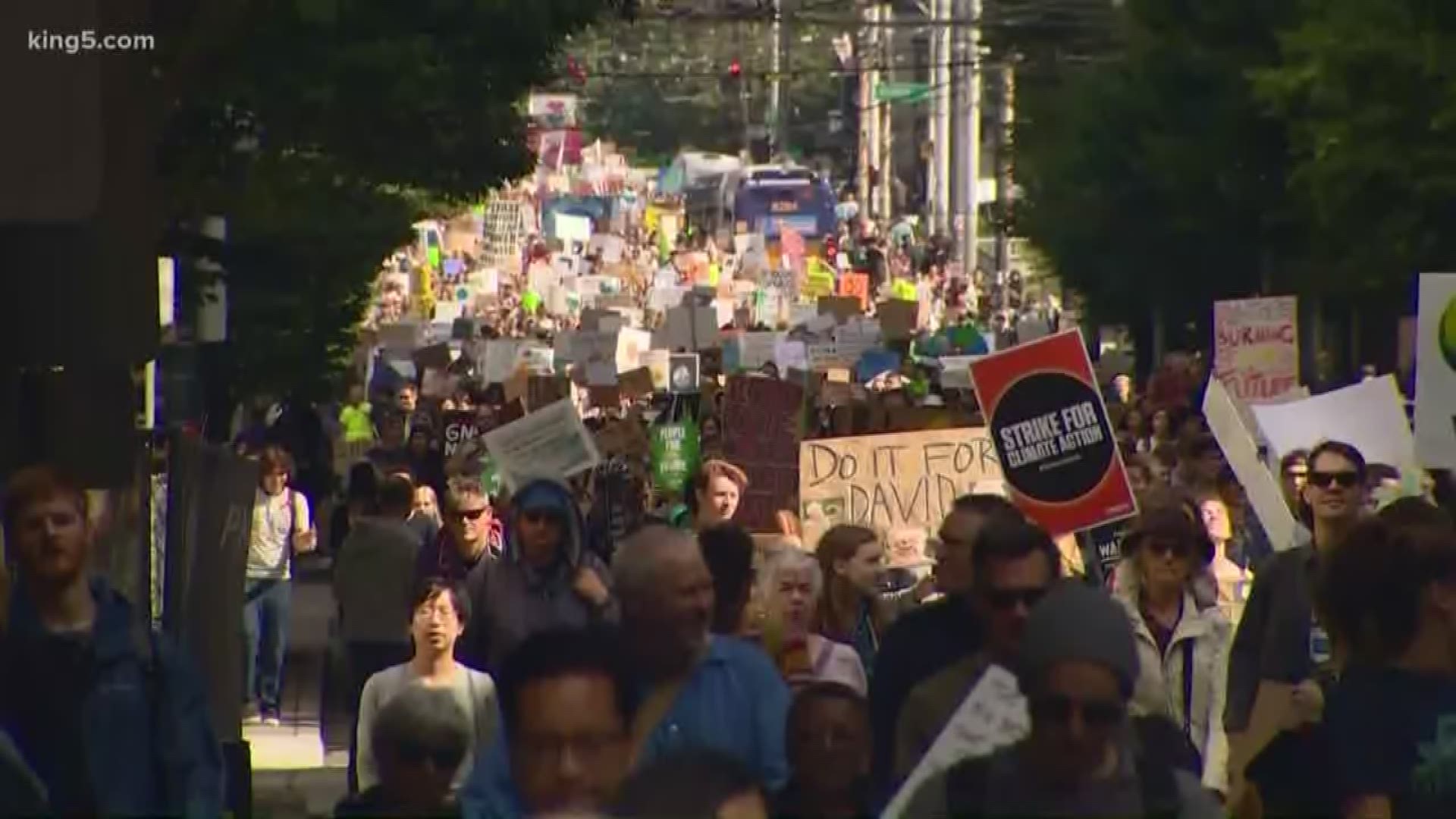 Thousands of students, tech workers, and activists took part in a global strike to protest climate change on Friday.