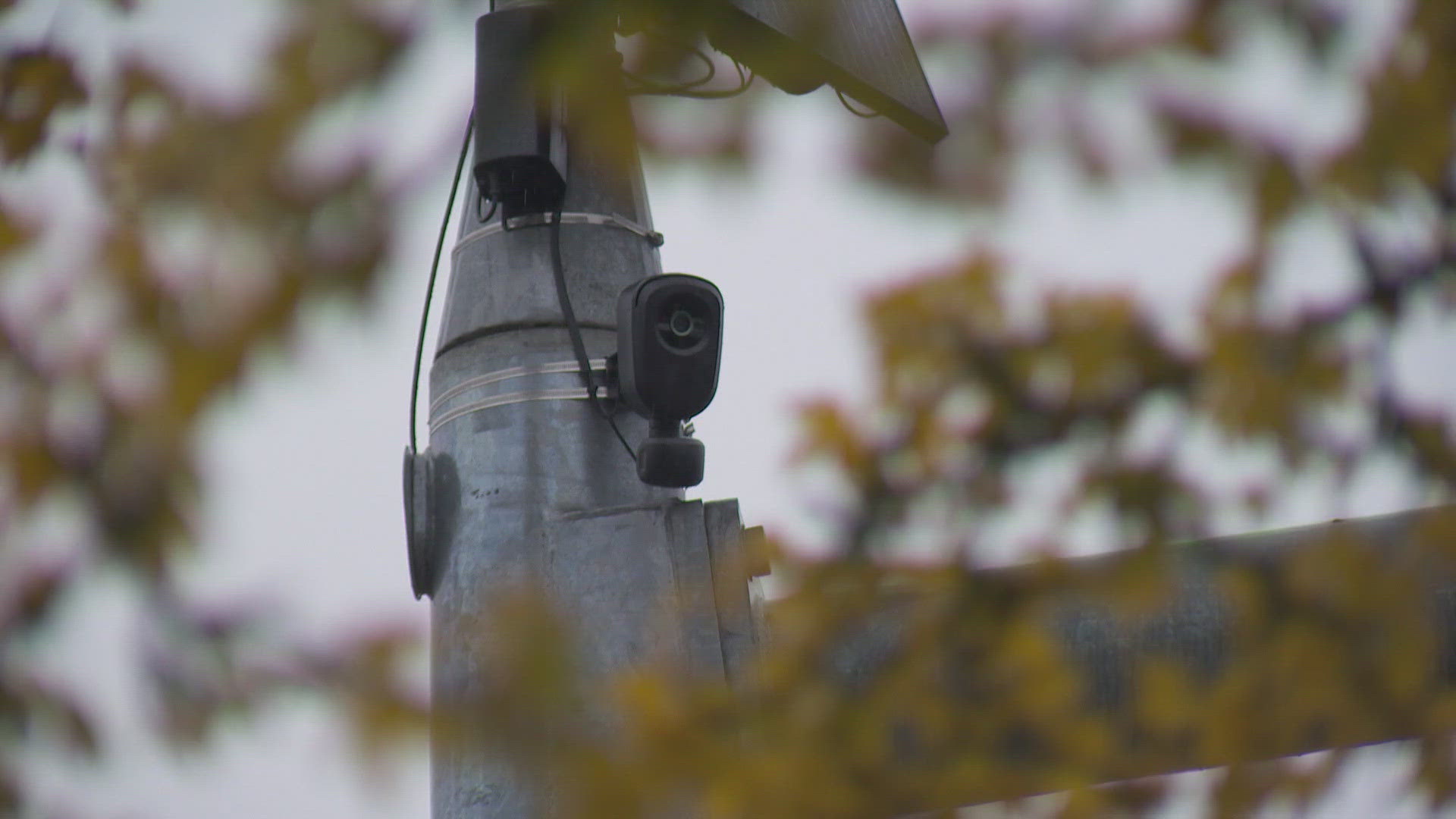 Redmond temporarily suspends use of Flock cameras | king5.com