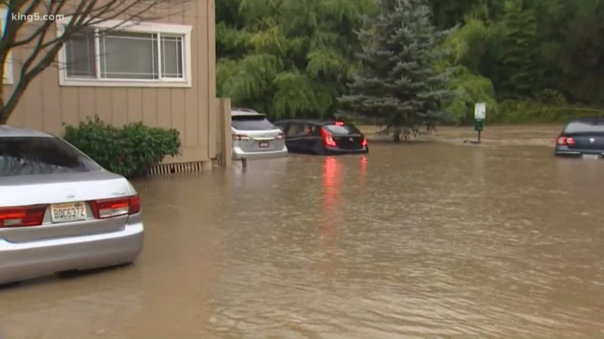 Several rivers in western Washington are in flood stages.