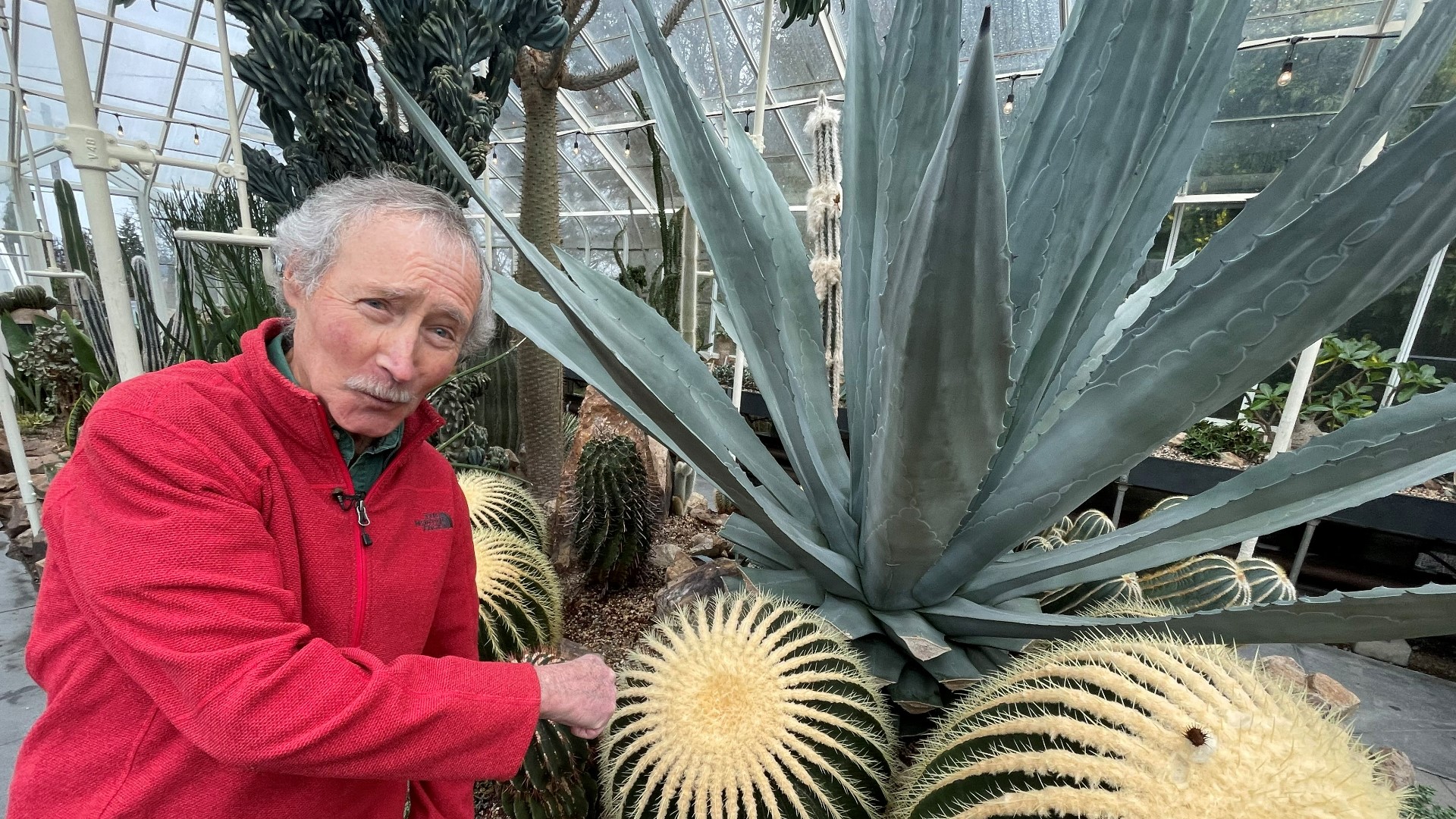 Meet some cacti and warm up at Seattle's Volunteer Park Conservatory. #k5evening