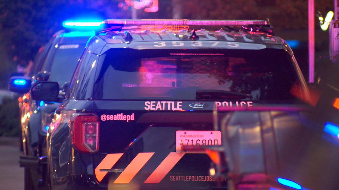 Seattle mother charged with murder in connection to stabbing death of 4-year-old son