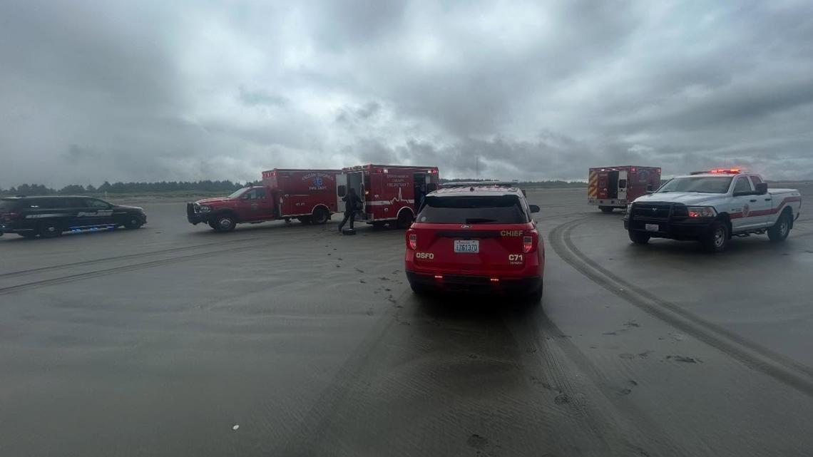 2 die after being swept away by wave in Ocean Shores
