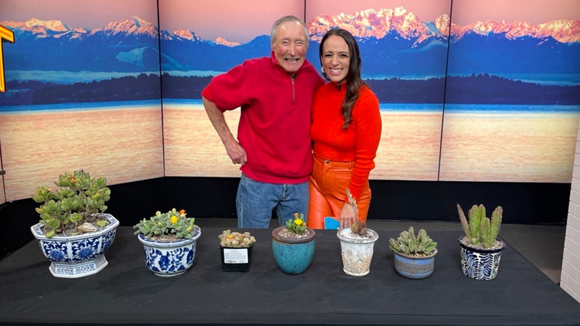 Check out succulents that bloom in the fall and winter - Vimarsana News