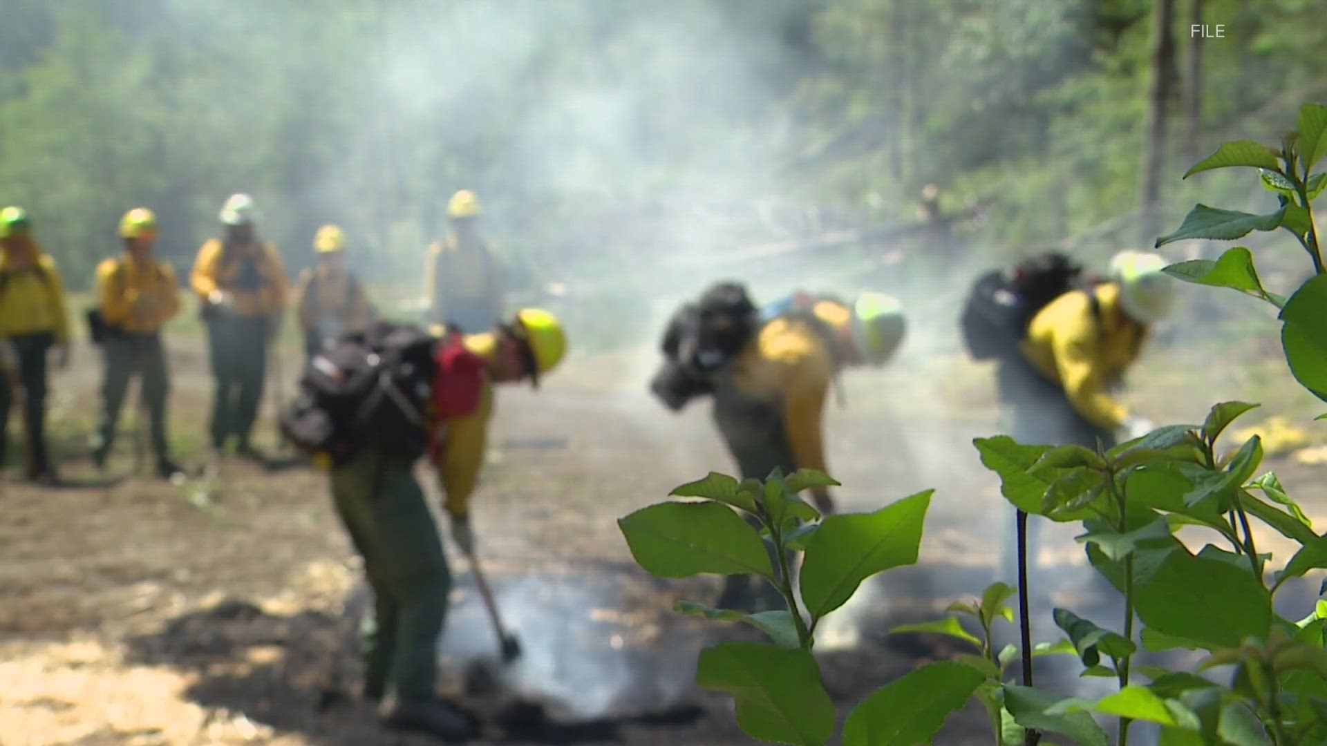 Washington Department of Natural Resources partners with agencies across the nation. Currently, 100 firefighters, safety officers and other personnel are helping.