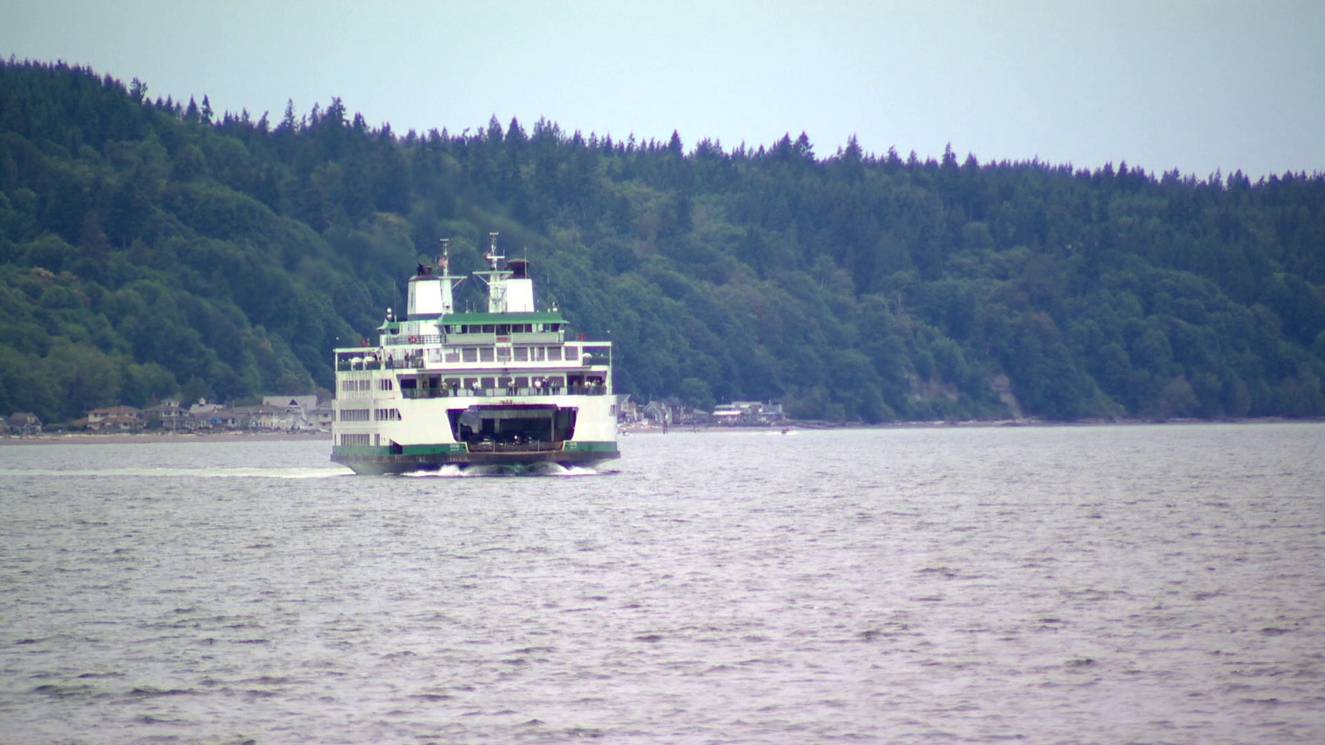 Washington State Ferries (WSF) is operating without one of its ships — along one of its busiest routes — after it was damaged by a crab pot line.