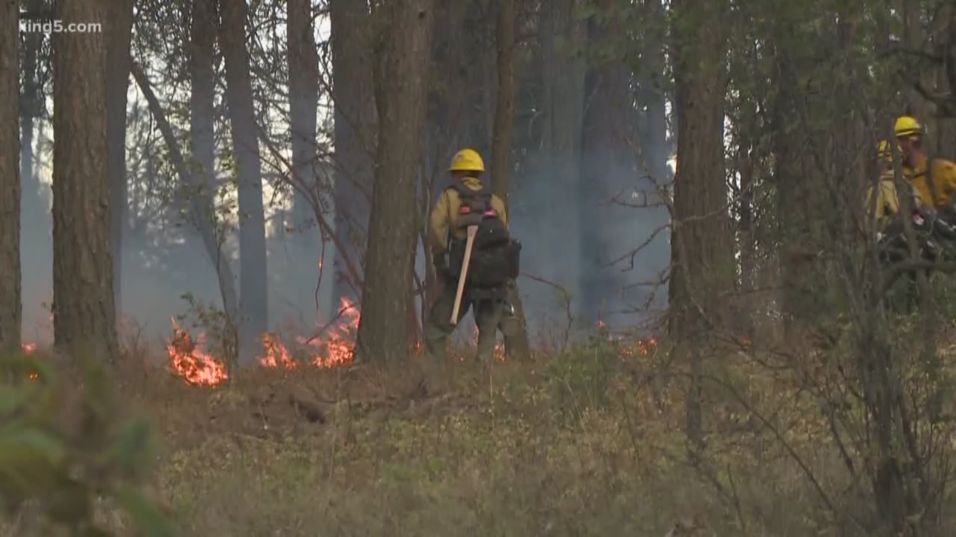 There is growing concern over wildfires in western Washington after an exceptionally early start to the season. KING 5's Glenn Farley shows how crews are battling the changing landscape of wildfires.