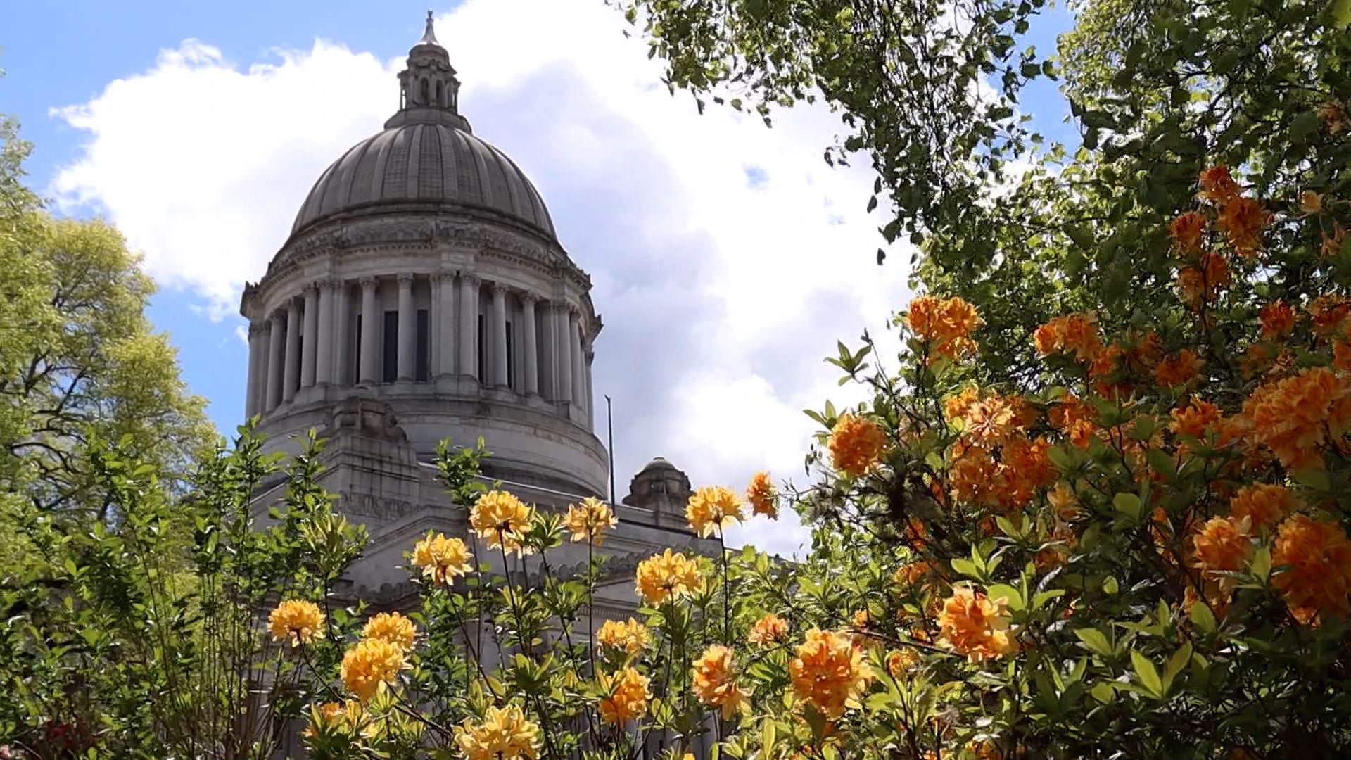 The projected revenue collections for the 2023-25 state budget increased by nearly $327 million due to the capital gains tax that went into effect last year.
