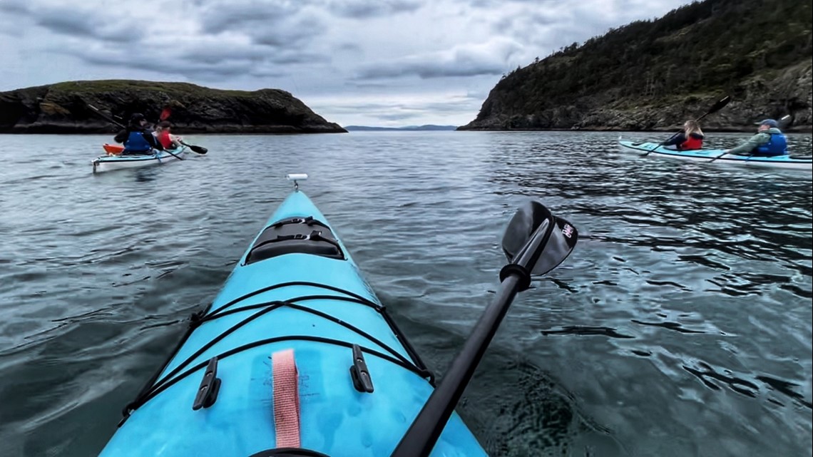 Spend an unforgettable day on the water with Anacortes Kayak Tours