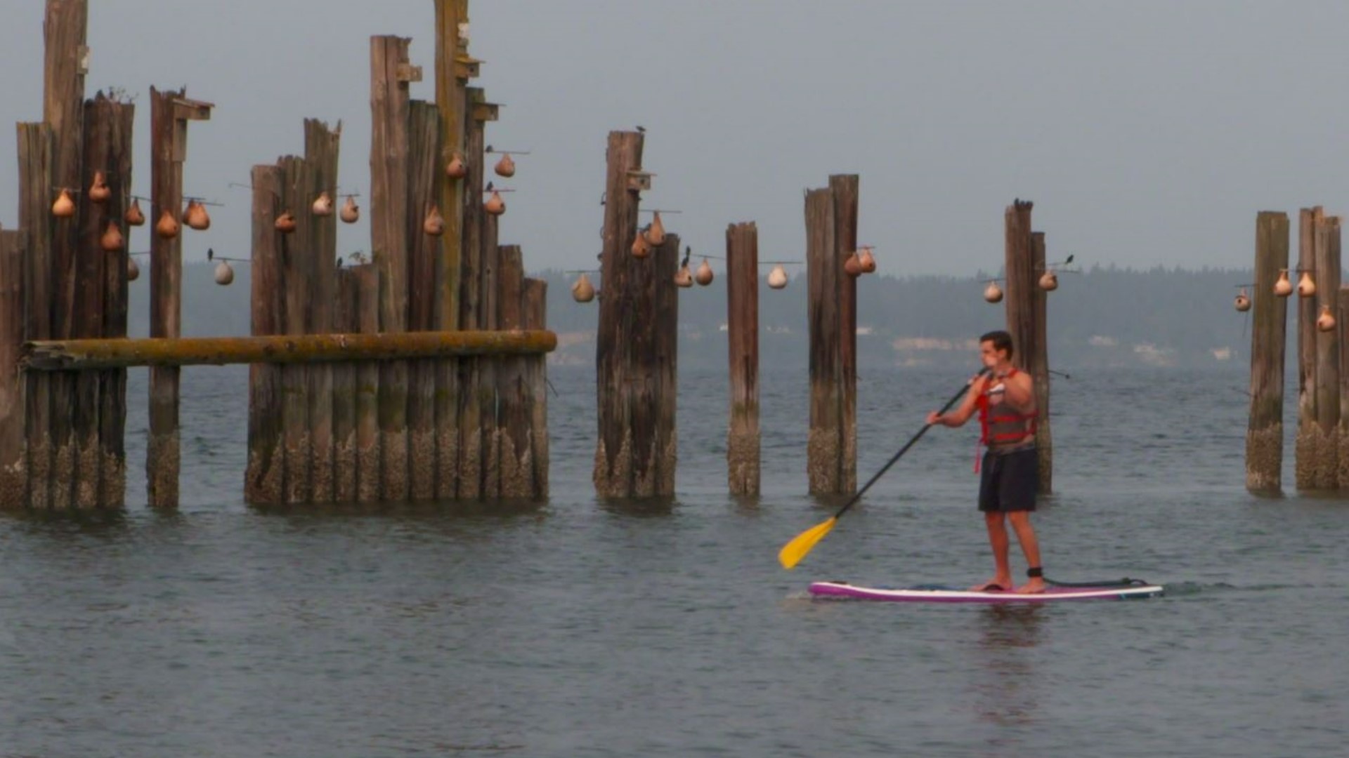 You can rent a paddleboard or kayak and buy a shaved ice at the family-owned shop near Golden Gardens Park in Seattle.