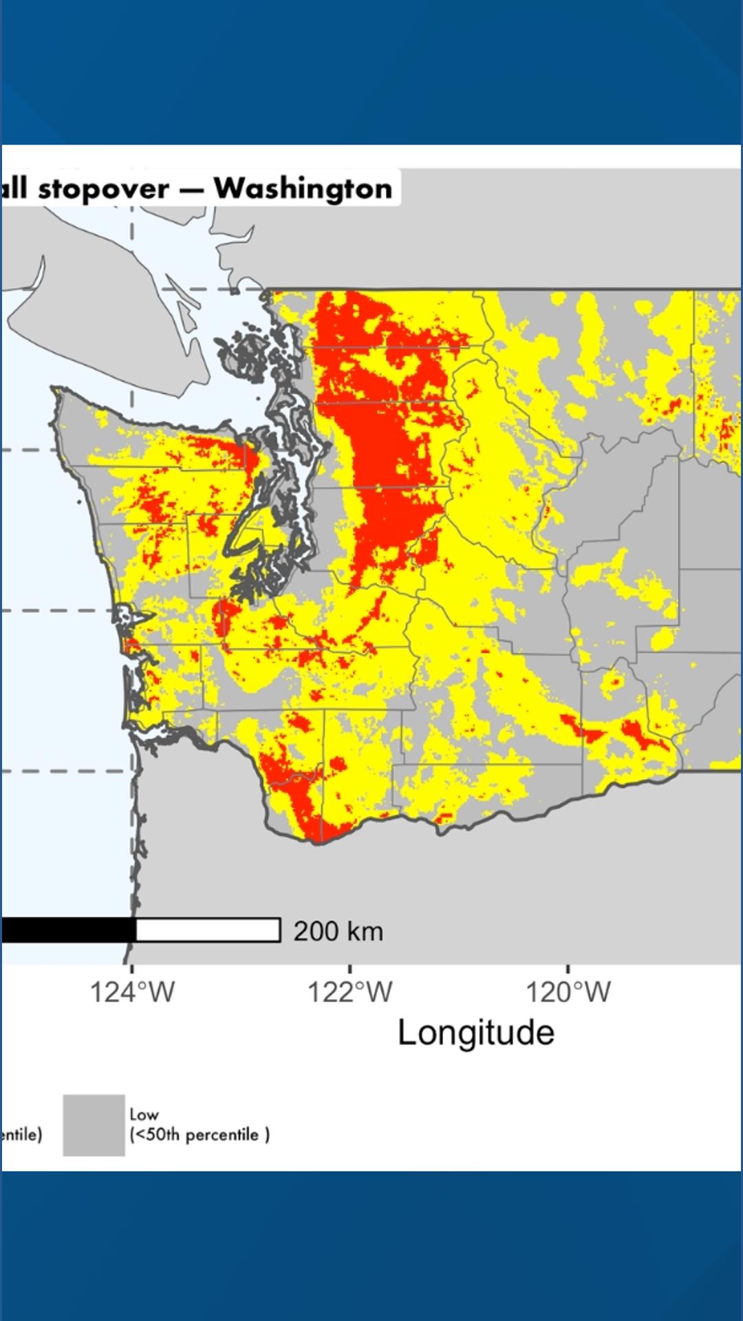 Dramatic rise in bird migration over Washington state prompts 'Lights Out' efforts to protect millions