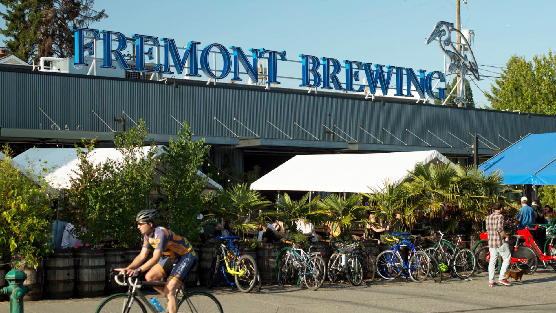 Ownership group buys Fremont Brewing | king5.com