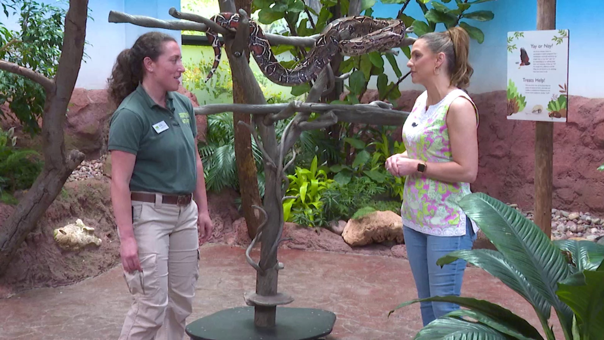 Amity visits Woodland Park Zoo and walks us through different exhibits, showing us what's new. Sponsored by Woodland Park Zoo.