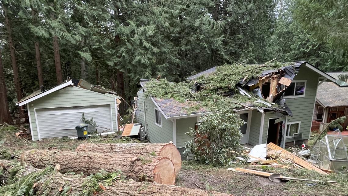 Whatcom County Couple Unharmed After Massive Tree Crushes Their Home ...