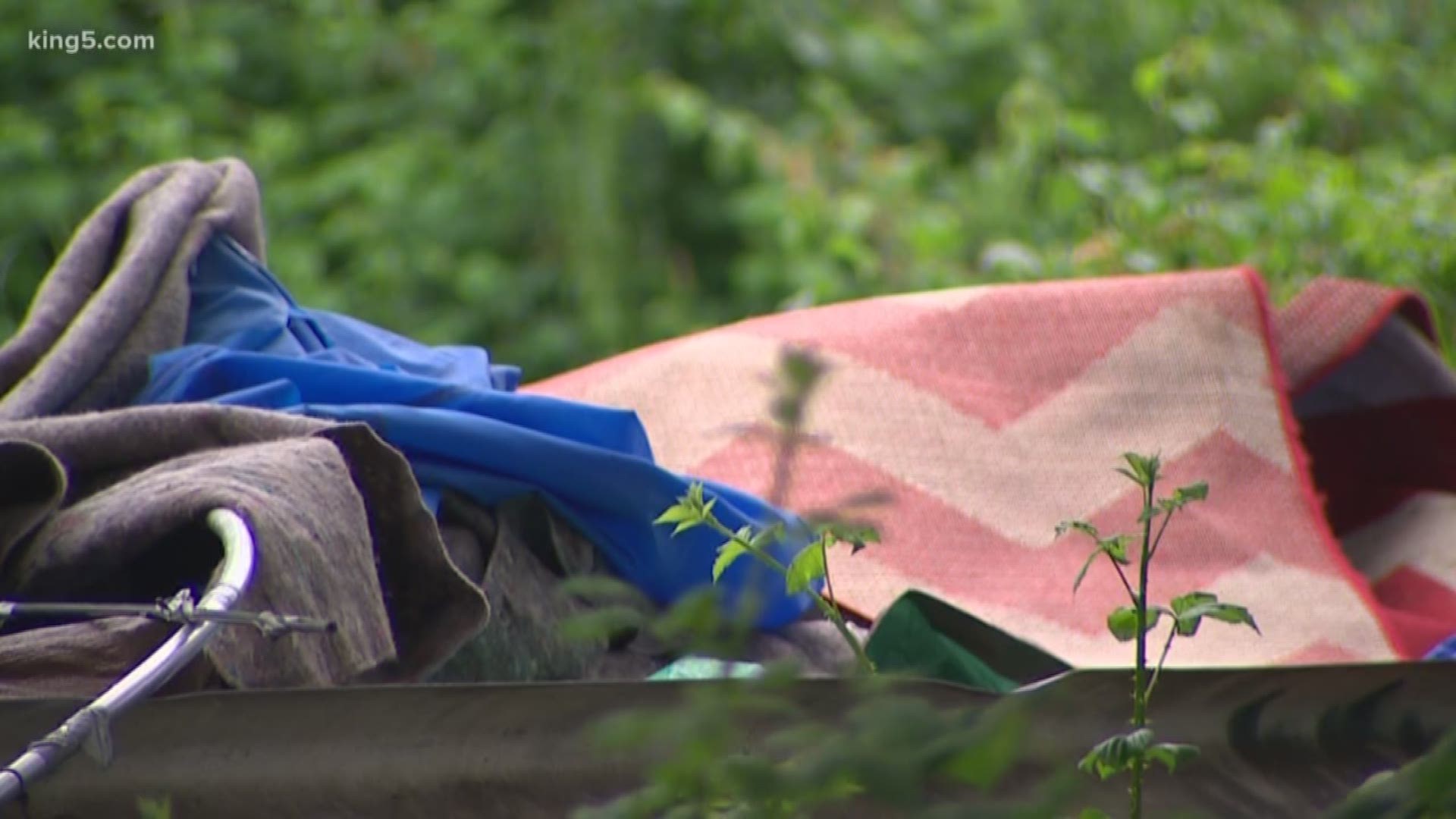 The city of Seattle will continue to clean up a homeless encampment. Neighbors talk about what it has been like to live and work near the site at 10th and Dearborn. It's the same place where a police raid last week turned up drugs and weapons. KING 5's Natalie Swaby has the details.