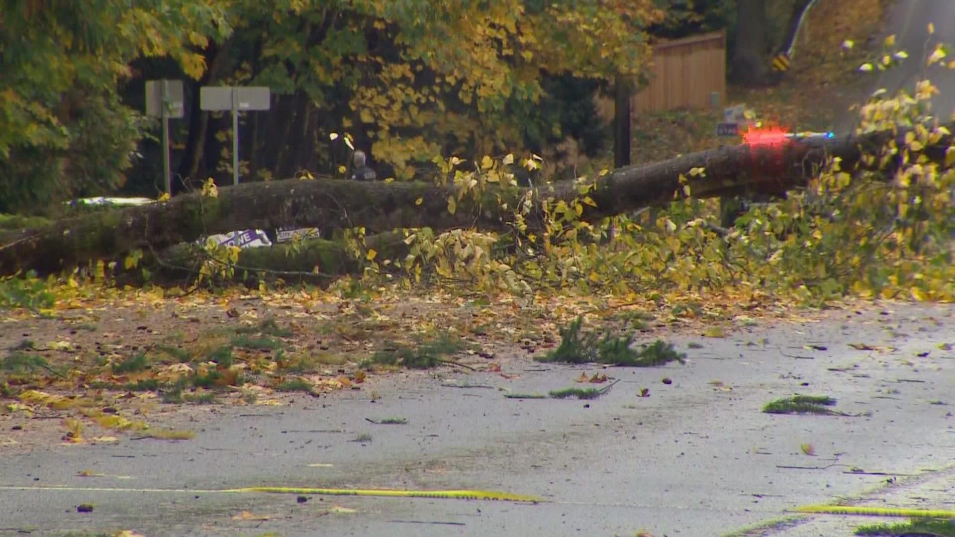 High Wind Warning Issued For East Puget Sound Lowlands | King5.com