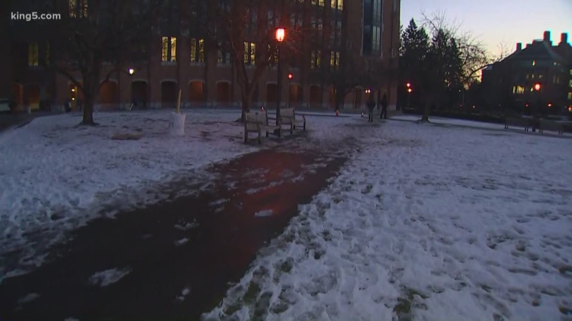 UW student said to have slipped died of natural causes, medical