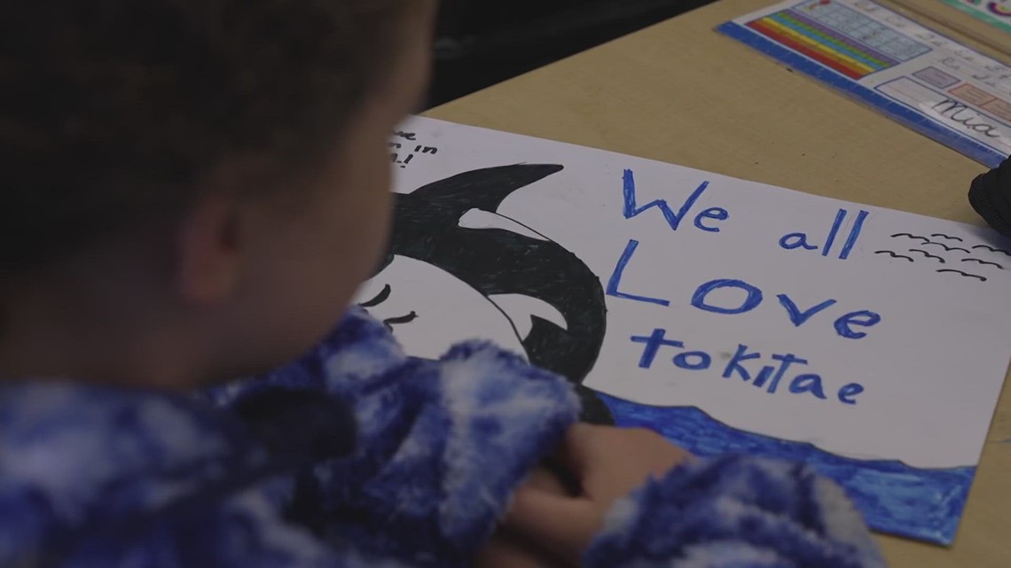 'Welcome home Tokitae': Seattle third graders eagerly await return of famous orca - Vimarsana News
