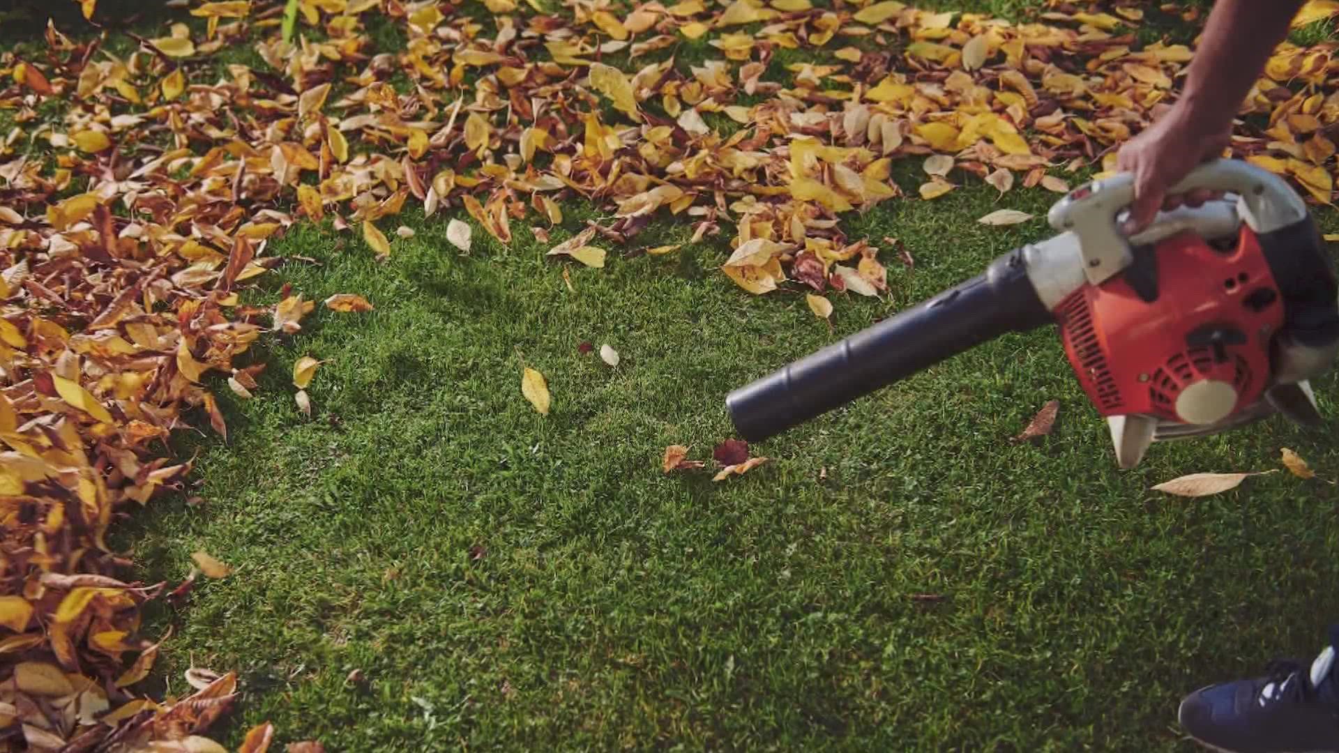 The resolution would phase out gas-powered leaf blowers in the city by 2025, then issue a complete ban by 2027.