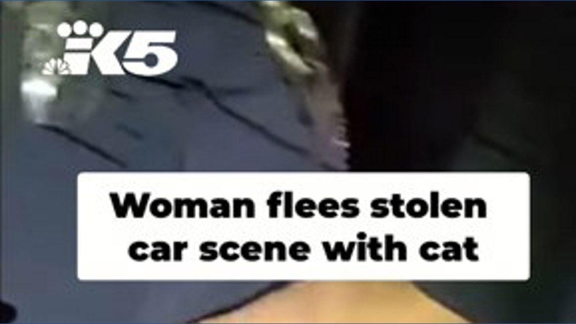 Two suspects arrested after stolen vehicle stop in Pierce County ...