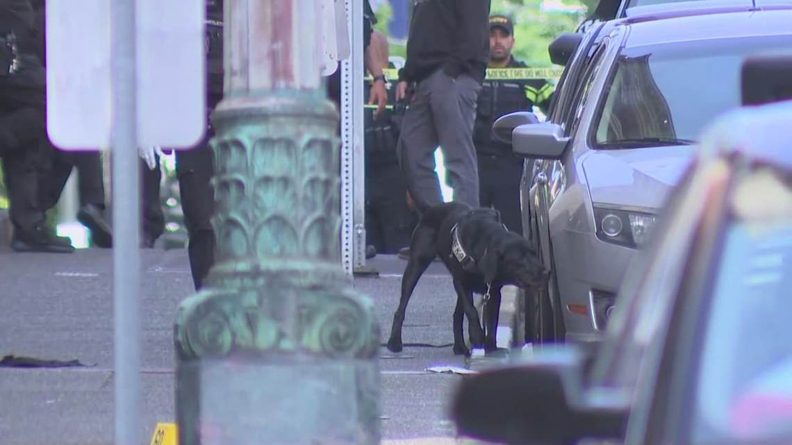 Two shot near Pioneer Square light rail station in Seattle | king5.com
