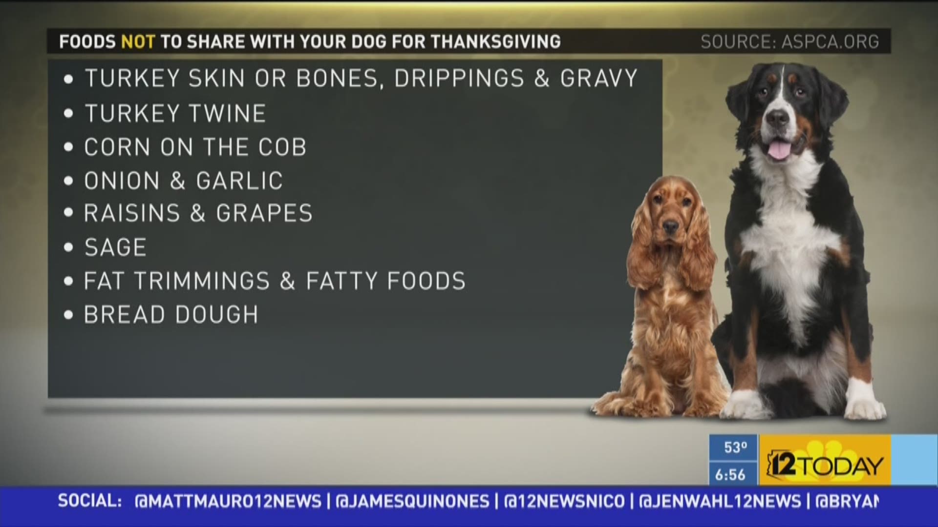 Food you shouldn't share with your dog for Thanksgiving.