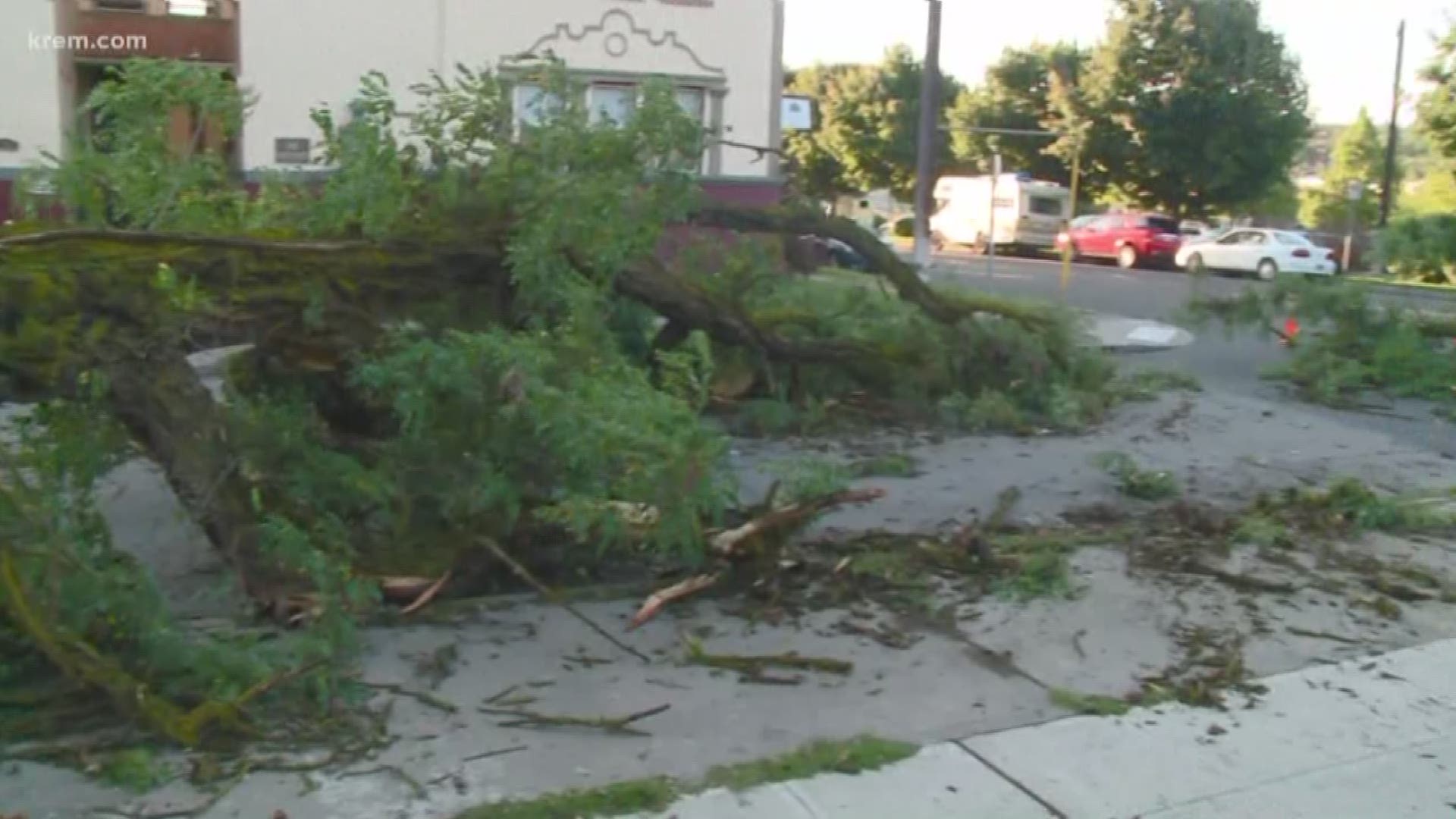 Residents in Browne's Addition are without power on Wednesday morning as downed trees block roads in the area.