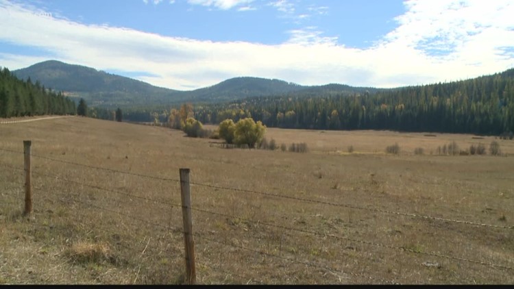 Ranchers and Wolves Part 2: Environmentalists propose compromise