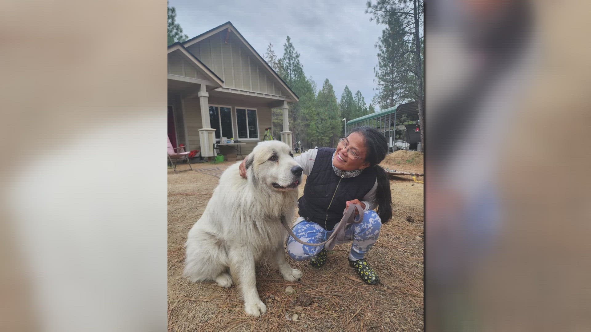 Ezra was separated from his family when they had to evacuate from their home due to the devastating wildfire in Elk, Wash.