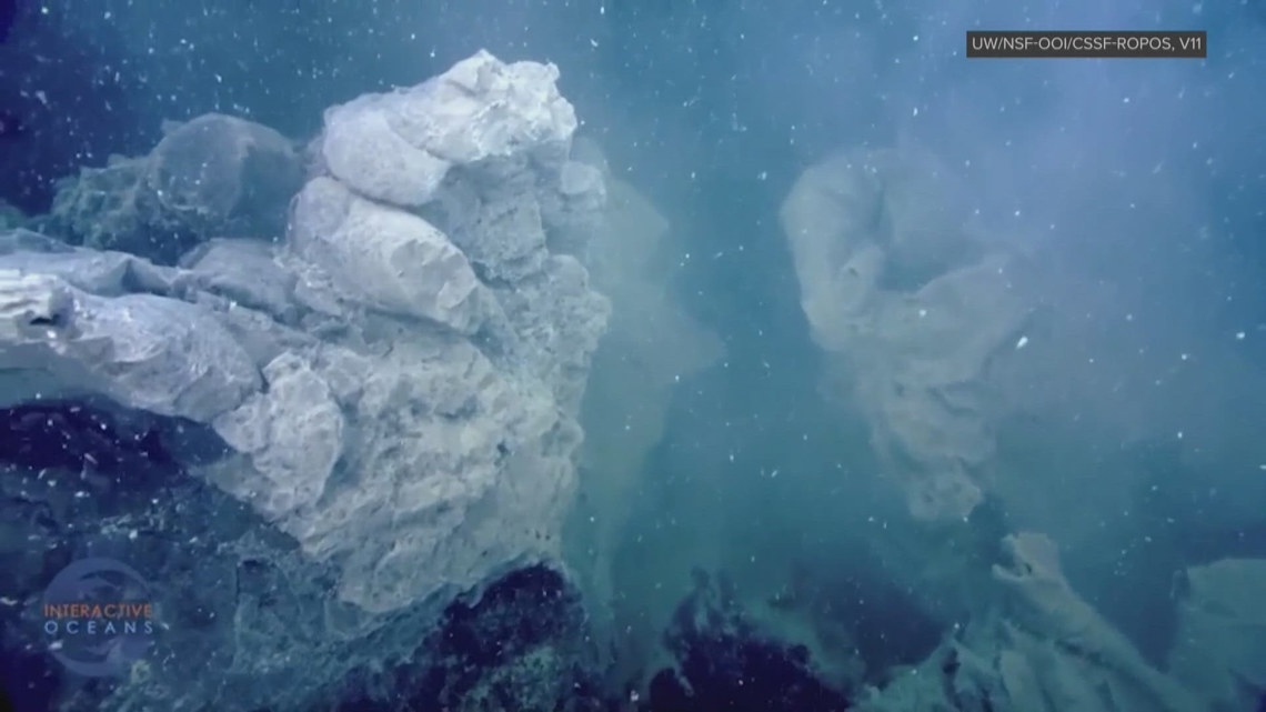Earthquake monitoring system not part of federal ocean observatory cuts