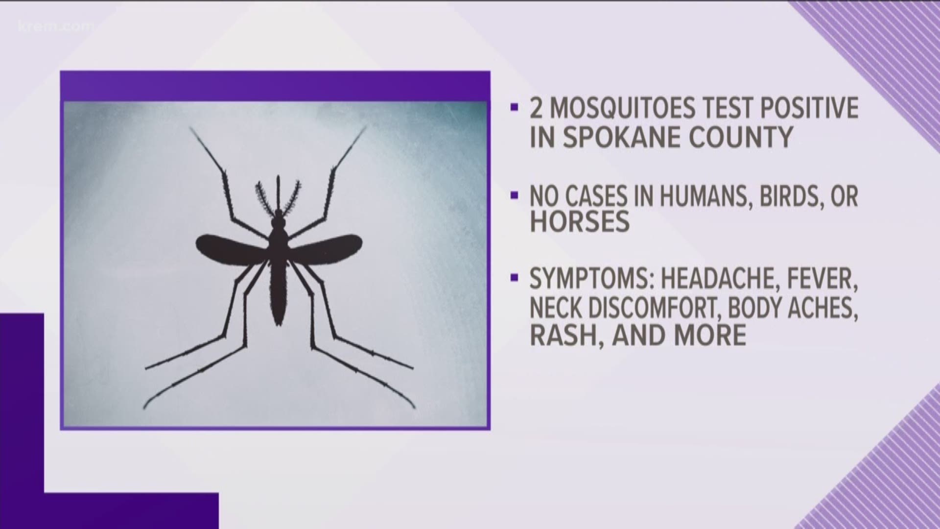Spokane Co. mosquitoes test positive for West Nile virus