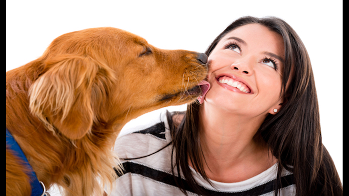 Are dog kisses a health risk?