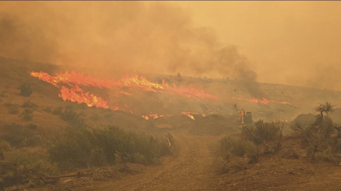 Rancher Loses 300 Cattle In Durkee Fire | King5.com