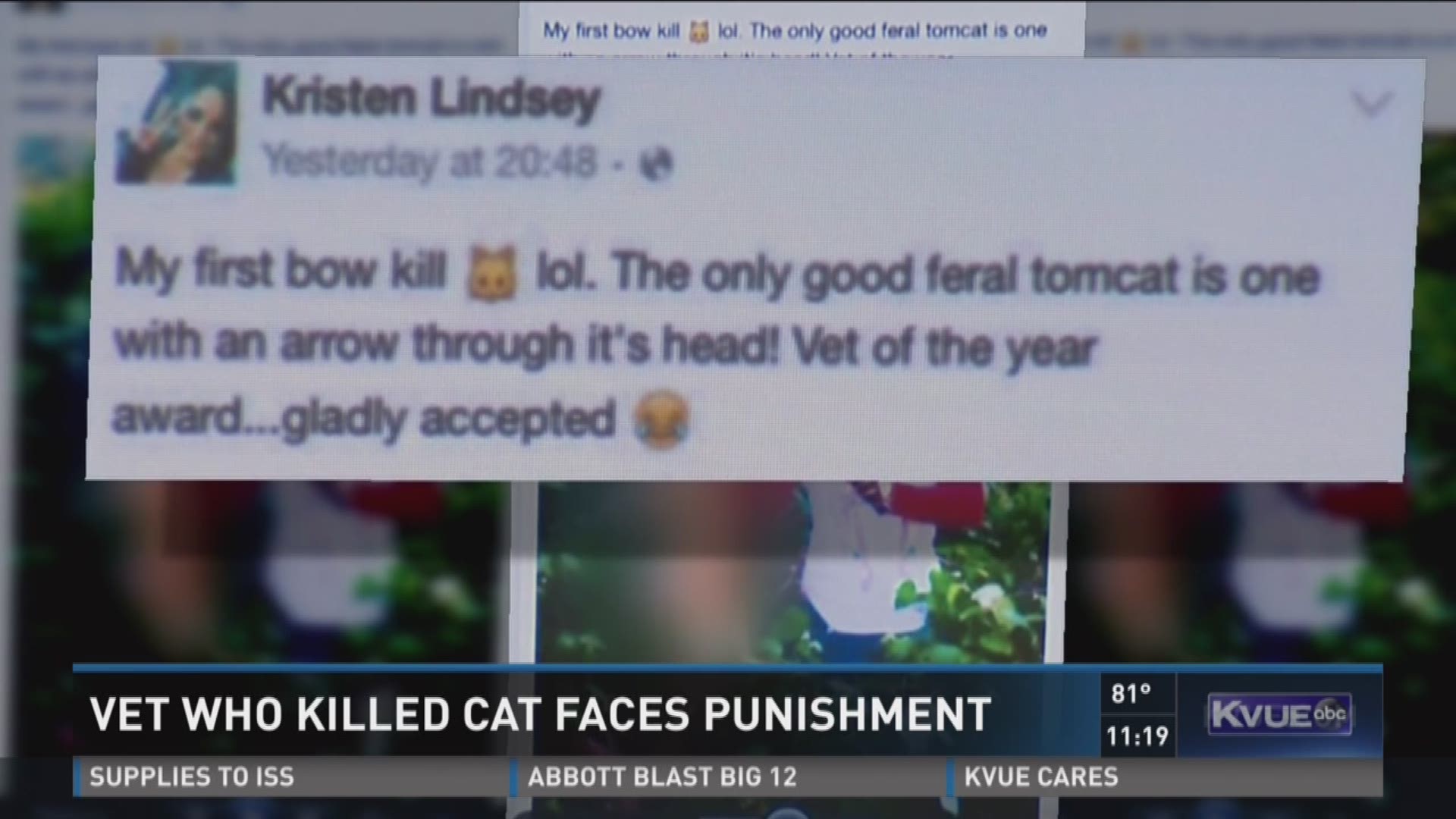 Vet who killed cat faces punishment