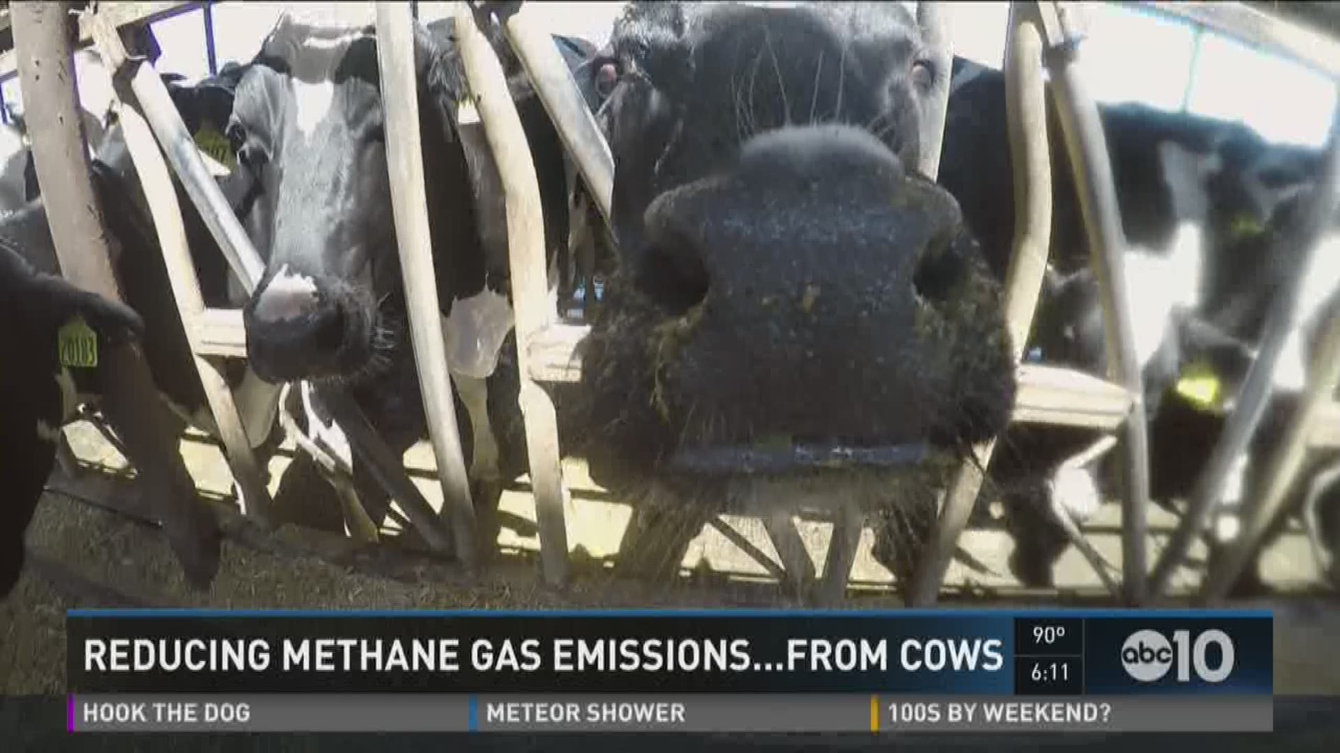 California introduces potential bill that will reduce methane gas emissions from cows (August 11, 2016)