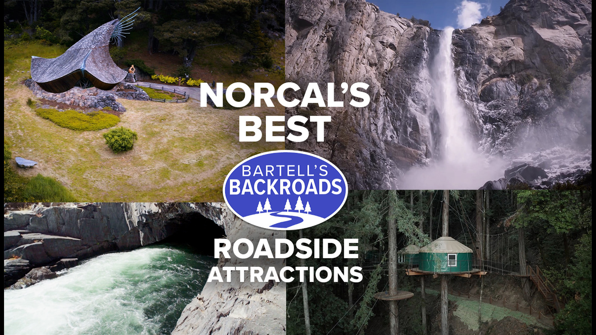From majestic waterfalls to zip lines high up in the redwoods, Northern California is full of fun surprises.