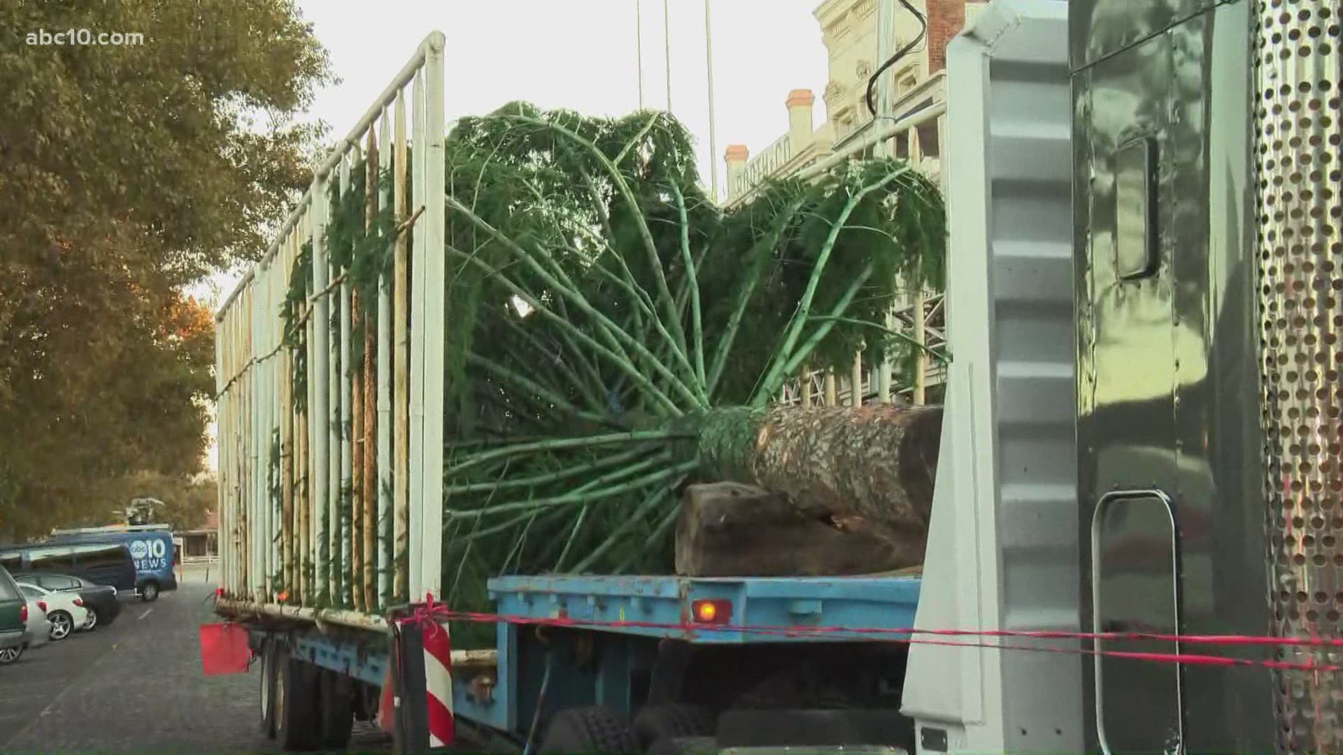 Christmas tree arrives in Old Sacramento