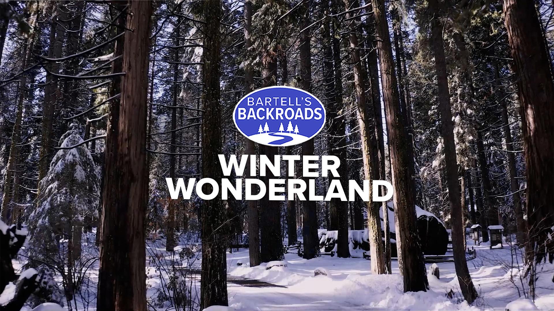 Lake Tahoe horse-drawn sleigh rides, the coldest place in California and a town where everyone uses snowmobiles to get around.