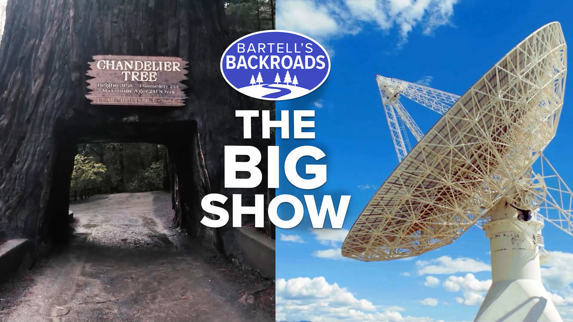 Go Big: Bartell's Backroads exploring California's Largest Landmarks