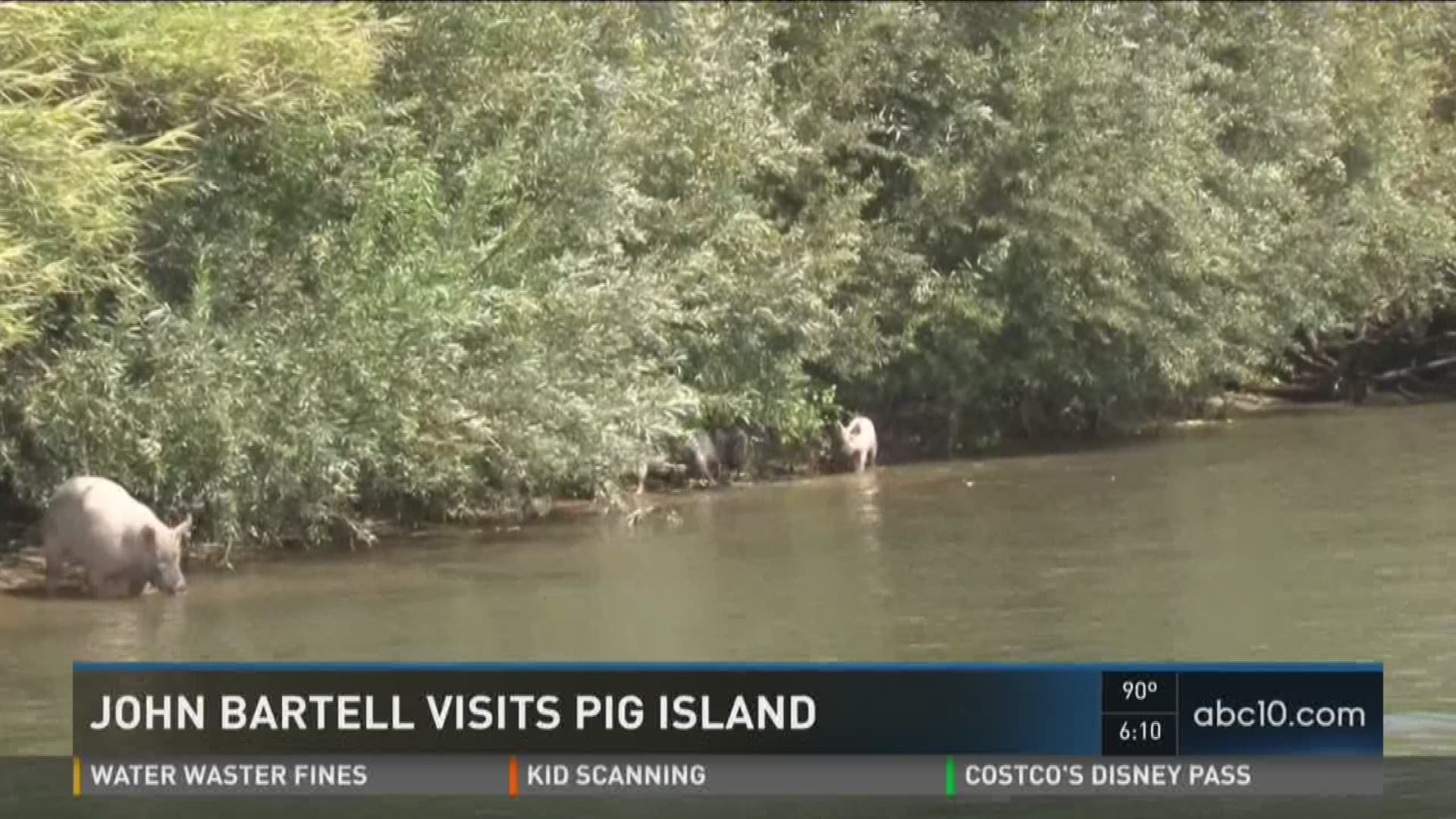 The San Joaquin River is littered with deserted islands, but there is one island near Stockton that is inhabited by some friendly animals. Sept. 6, 2016