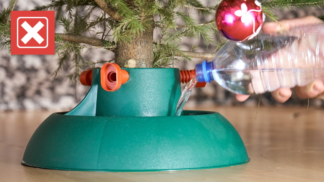 Sugar water won't help keep a real Christmas tree fresh