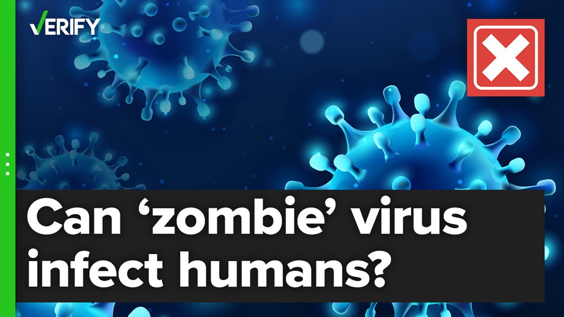 Zombie virus found in Serbia can't infect humans