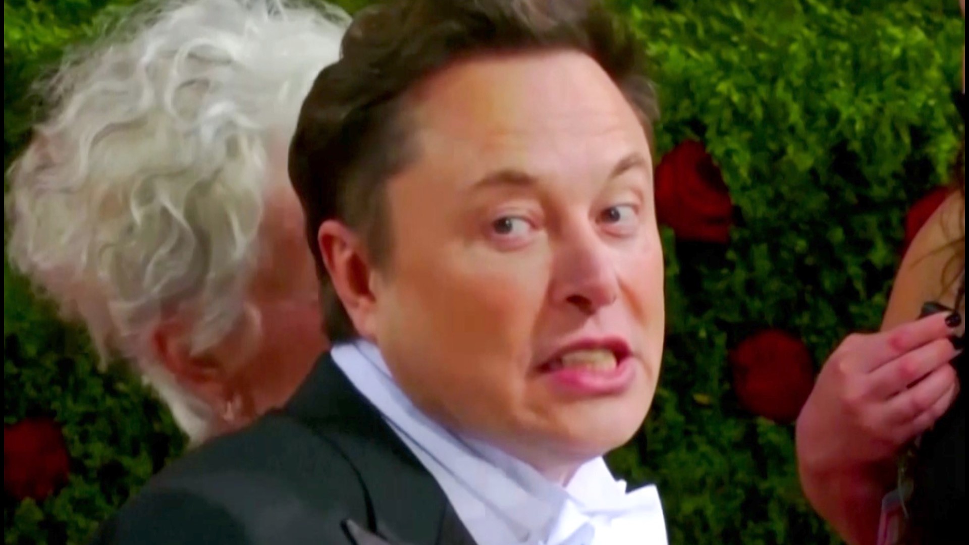 Twitter shutting down