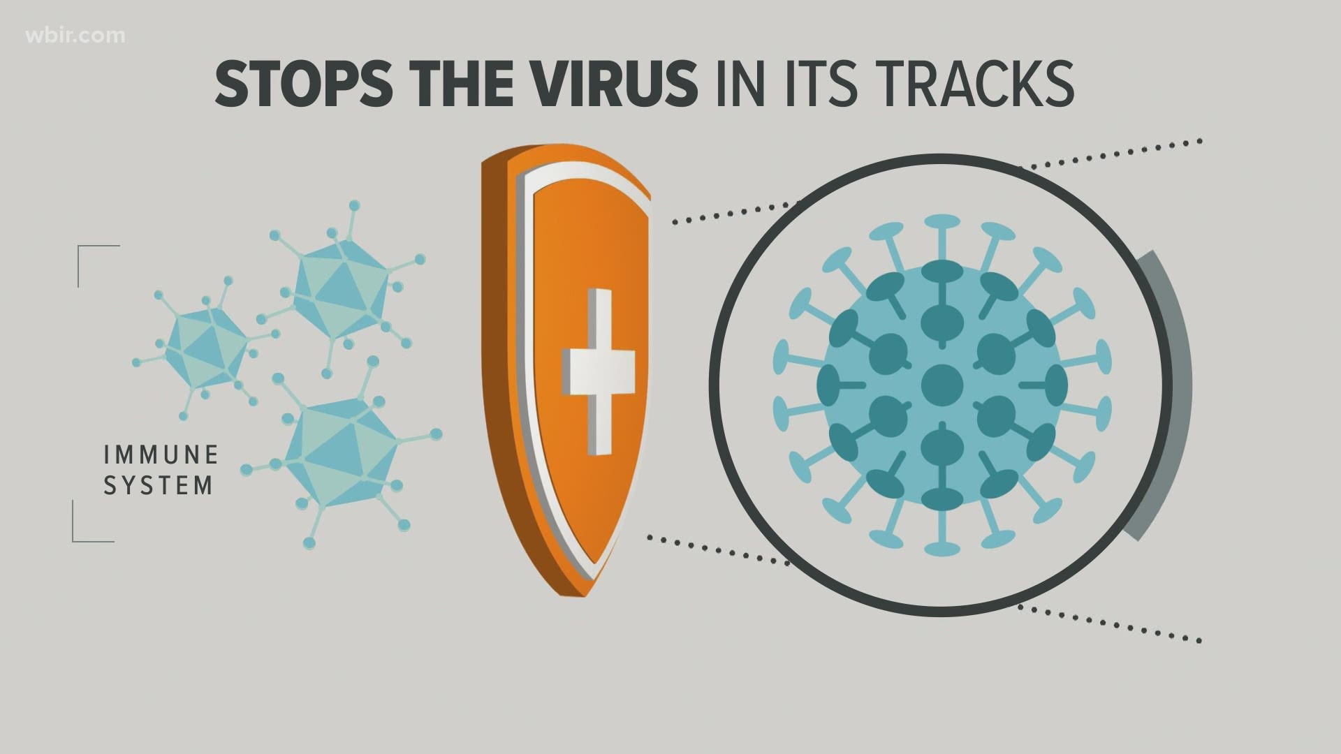 More than 100 experimental COVID19 vaccines are in development from labs around the globe. Only a handful are near the finish line. Winning means saving lives.