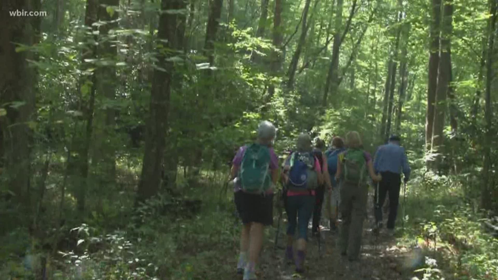 A group of women spend time in the mountains to mend the pains of breast cancer and grow their friendship.