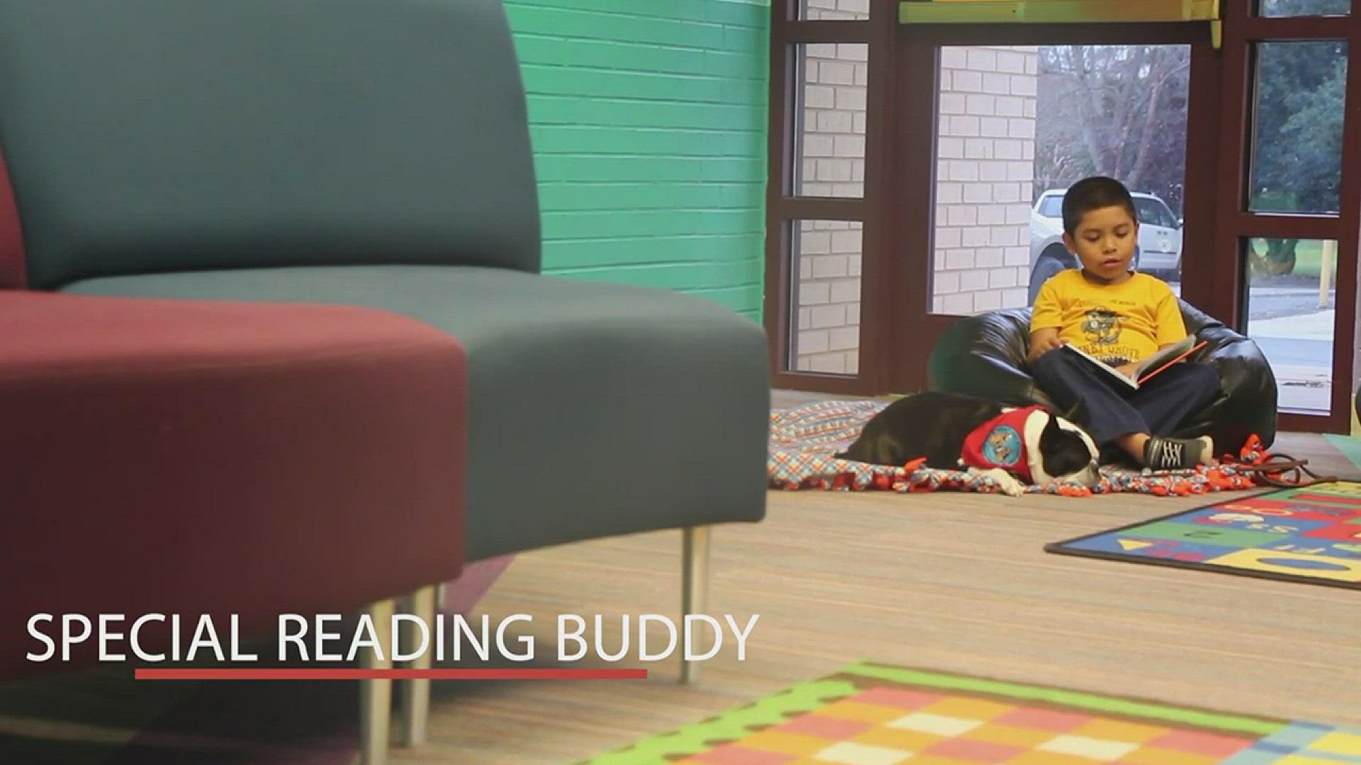 A program is partnering children who are self conscious reading aloud with a patient & non-judgmental reading buddy, a dog.
